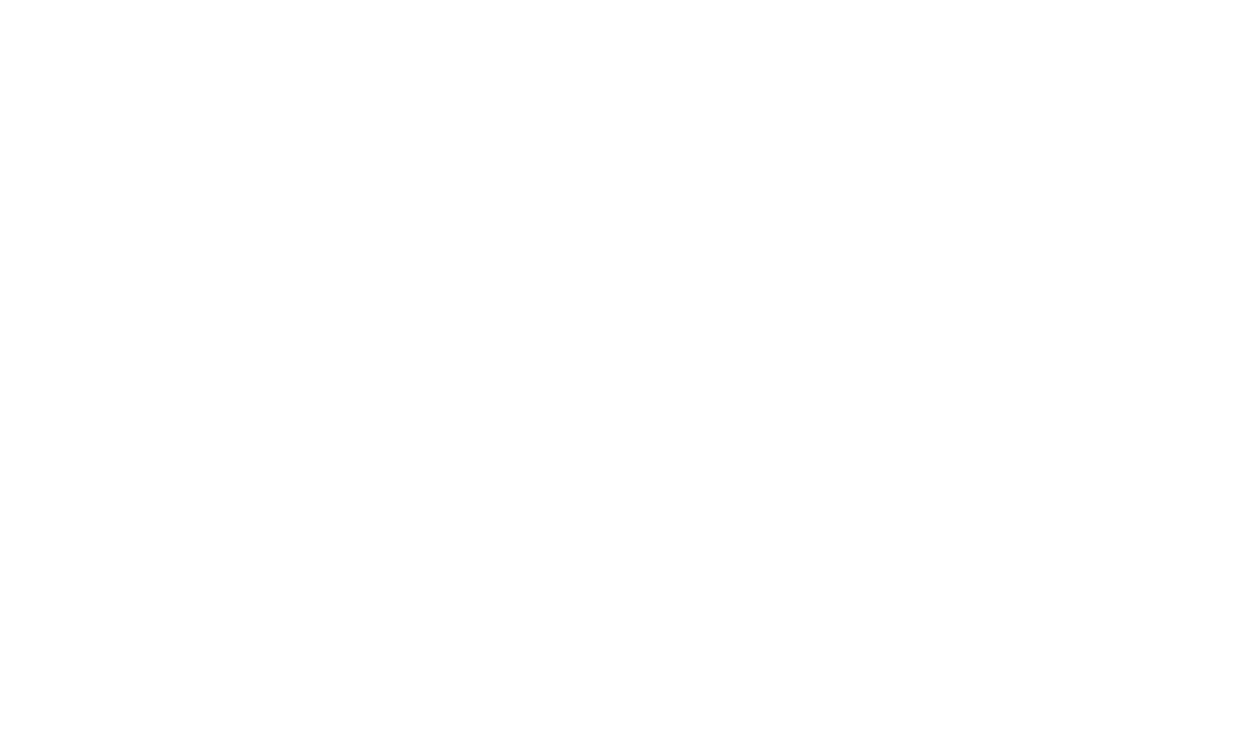 Logos_Trans TI Blanco
